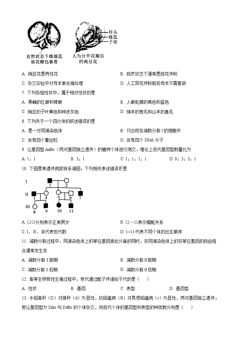 河南省灵宝市铭德高级中学2022-2023学年高一下学期第一次月考生物试卷（原卷版+解析版）02