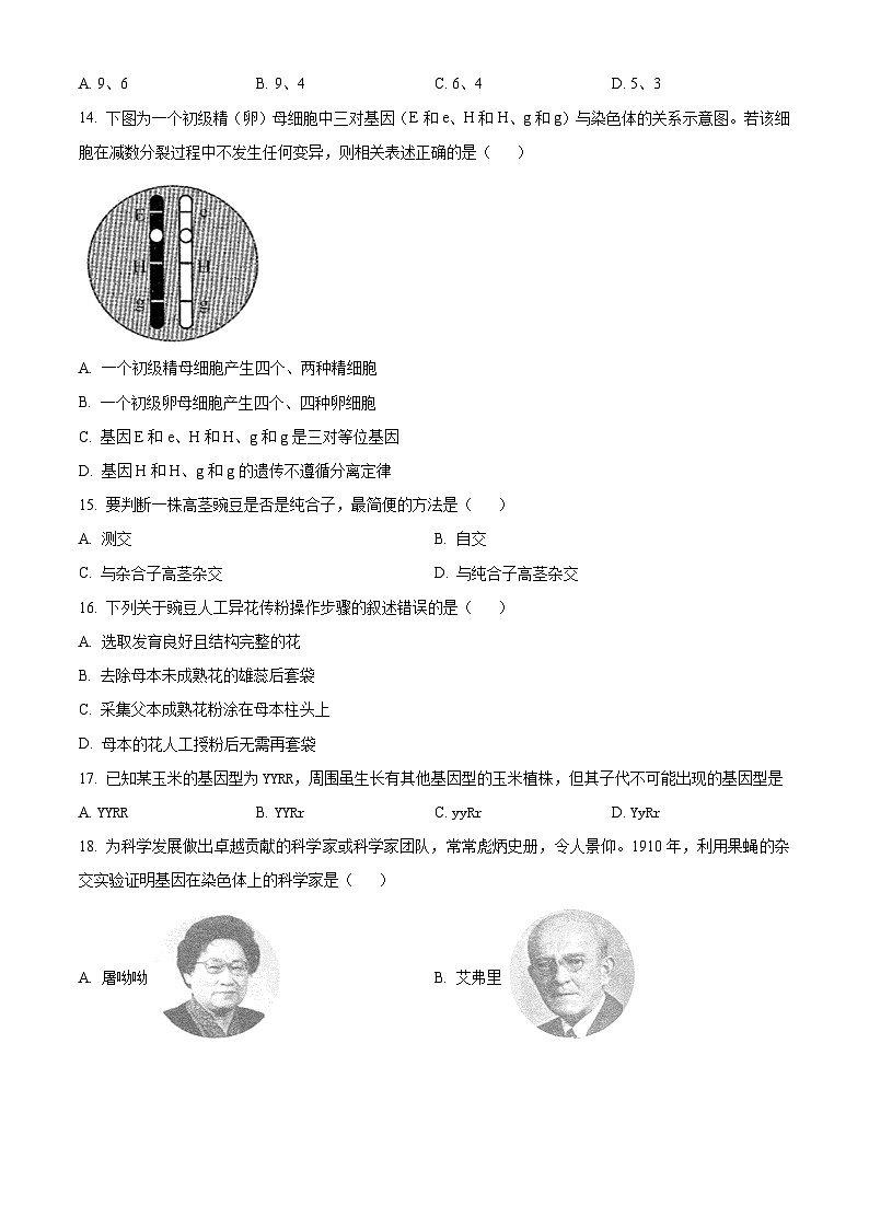 河南省灵宝市铭德高级中学2022-2023学年高一下学期第一次月考生物试卷（原卷版+解析版）03