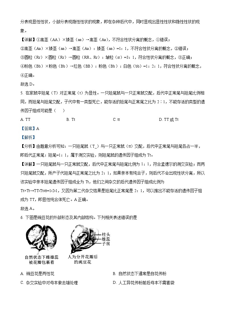 河南省灵宝市铭德高级中学2022-2023学年高一下学期第一次月考生物试卷（原卷版+解析版）03