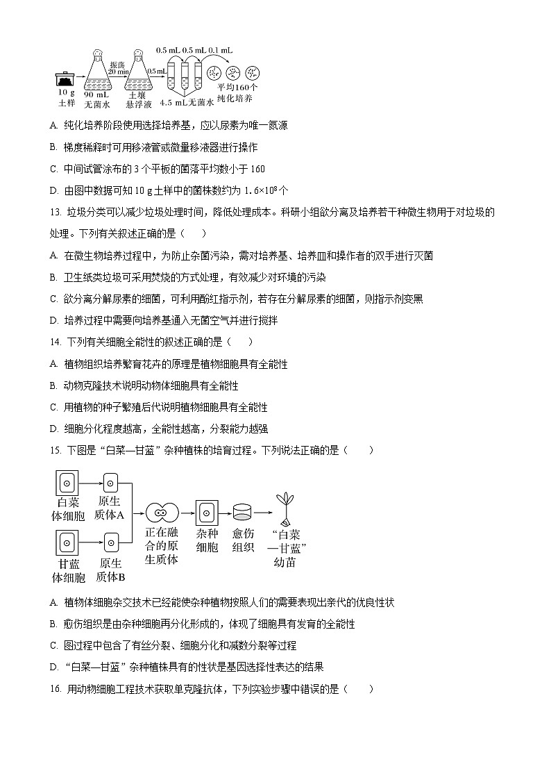 湖北省武汉市洪山区武汉西藏中学2023-2024学年高二下学期期中生物试题（原卷版+解析版）03