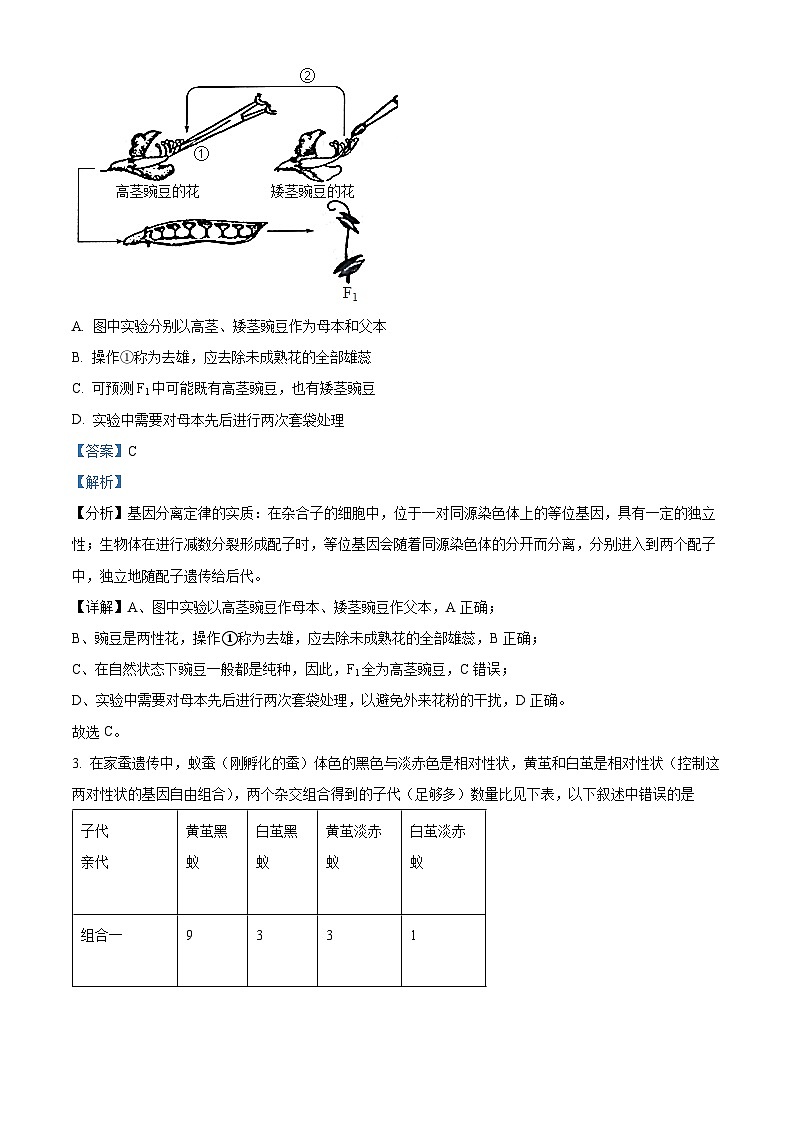陕西省西安市蓝田县城关中学大学区期中联考2023-2024学年高一下学期4月期中生物试题（原卷版+解析版）02