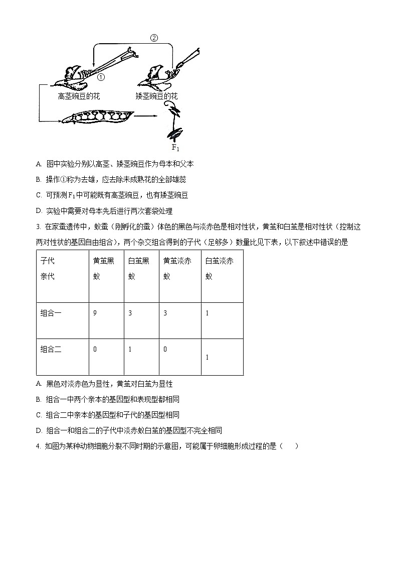 陕西省西安市蓝田县城关中学大学区期中联考2023-2024学年高一下学期4月期中生物试题（原卷版+解析版）02