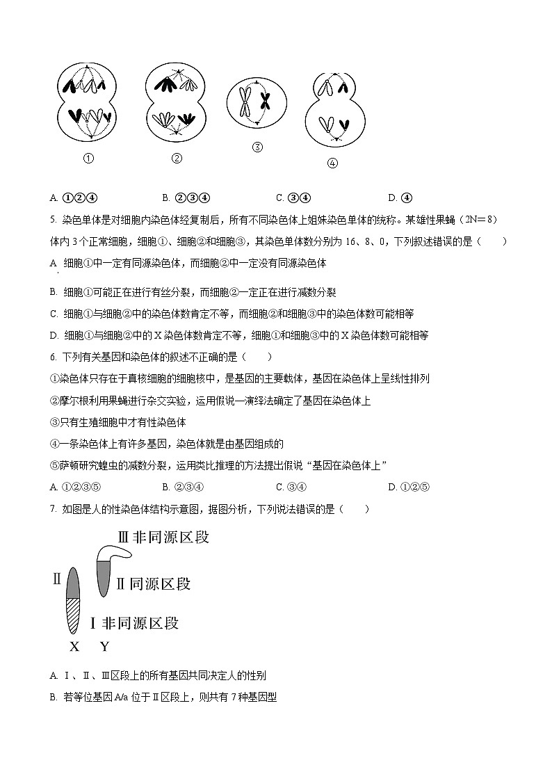 陕西省西安市蓝田县城关中学大学区期中联考2023-2024学年高一下学期4月期中生物试题（原卷版+解析版）03