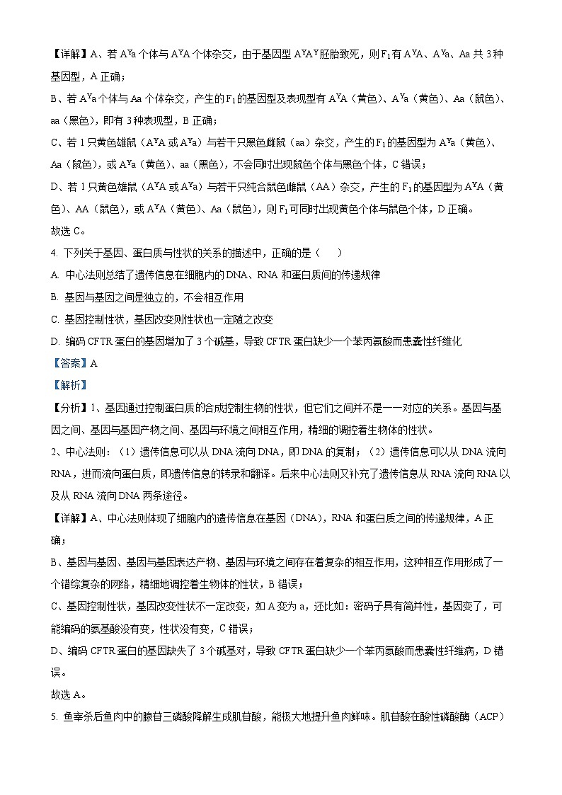 浙江省宁波市北仑中学2023-2024学年高一下学期期中考试生物试题（原卷版+解析版）03