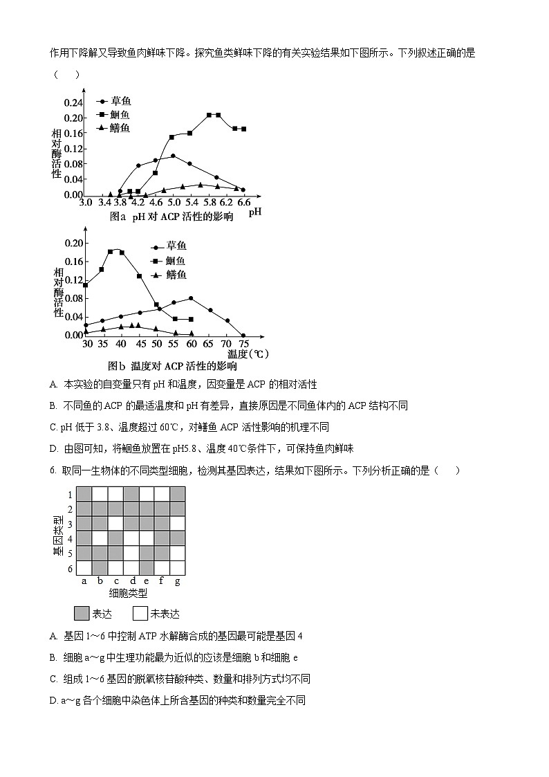 浙江省宁波市北仑中学2023-2024学年高一下学期期中考试生物试题（原卷版+解析版）02