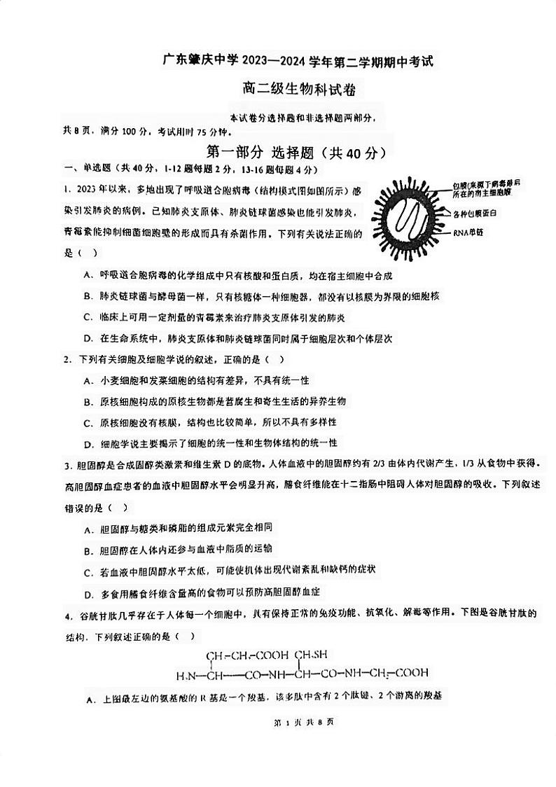 广东省肇庆市肇庆中学2023-2024学年高二下学期期中考试生物试题01
