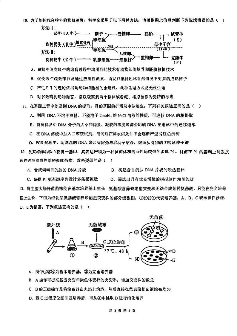 广东省肇庆市肇庆中学2023-2024学年高二下学期期中考试生物试题03