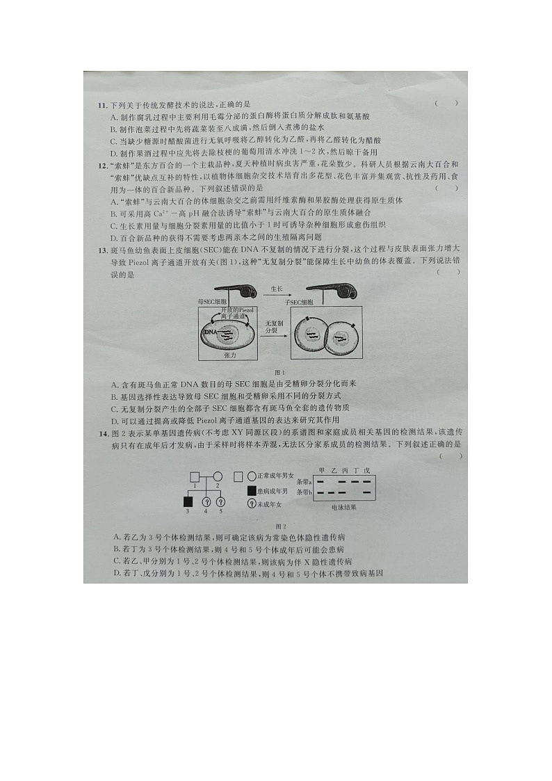 2024届广西桂柳高三下学期名校联考生物试卷03