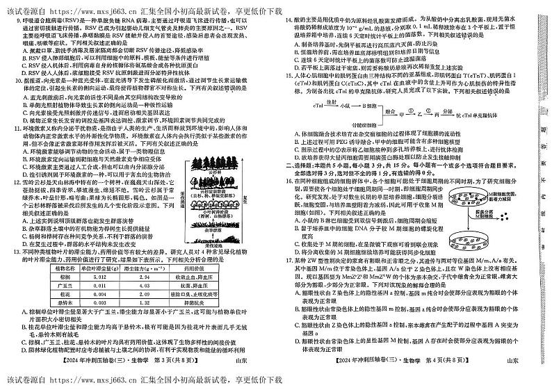 2024届山东省菏泽市鄄城县第一中学高三下学期一模生物试题02