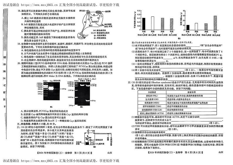 2024届山东省菏泽市鄄城县第一中学高三下学期一模生物试题03