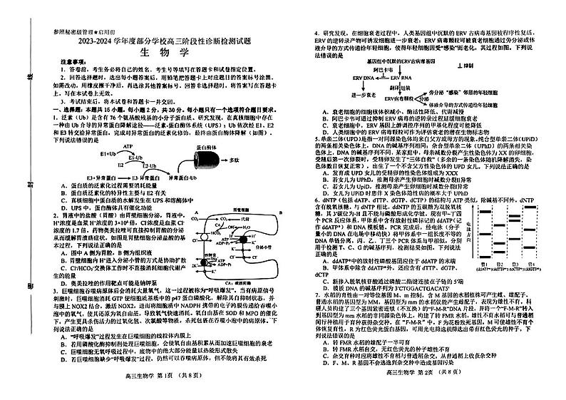 2024届山东省淄博市高三二模考试生物试题01