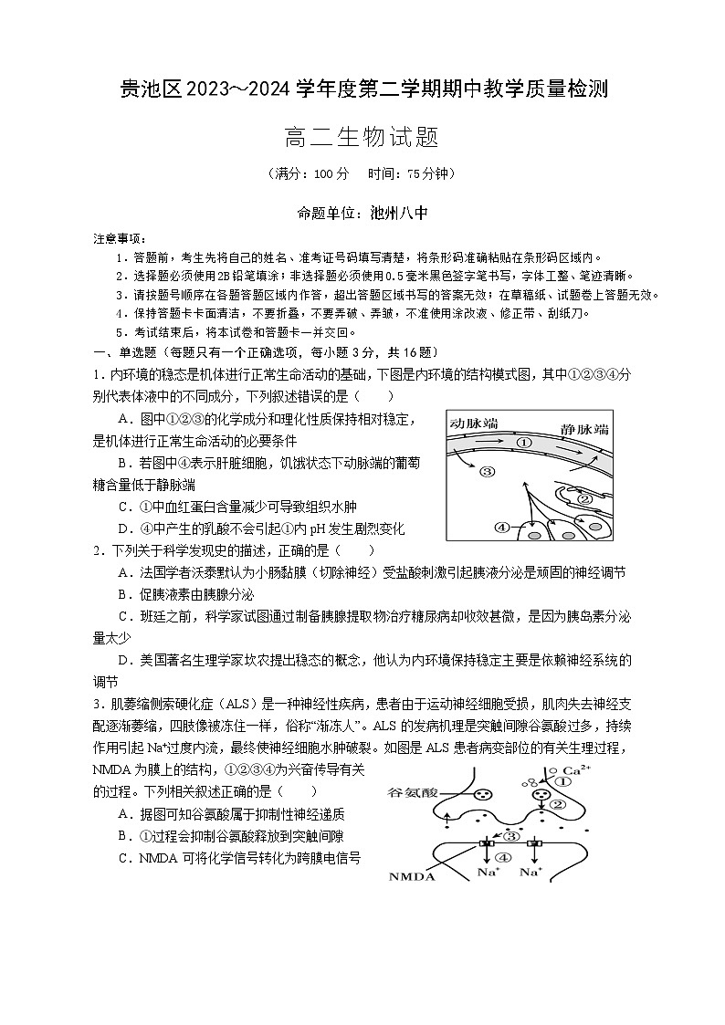 安徽省池州市贵池区2023-2024学年高二下学期期中教学质量检测生物试题第1页
