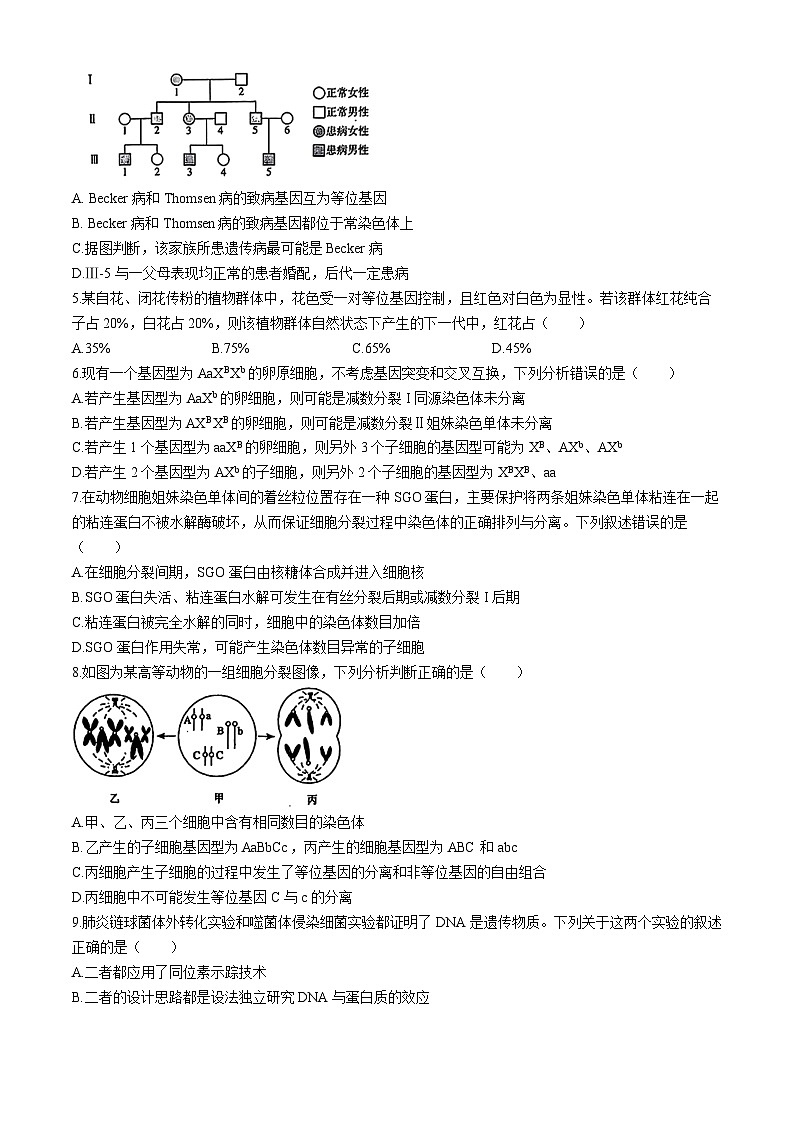 北京市四中2023-2024学年高一下学期期中考试生物试题(无答案)第2页
