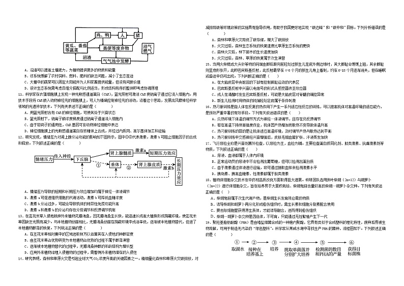 广东省广州市第六中学2023-2024学年高二下学期期中考试生物试题02