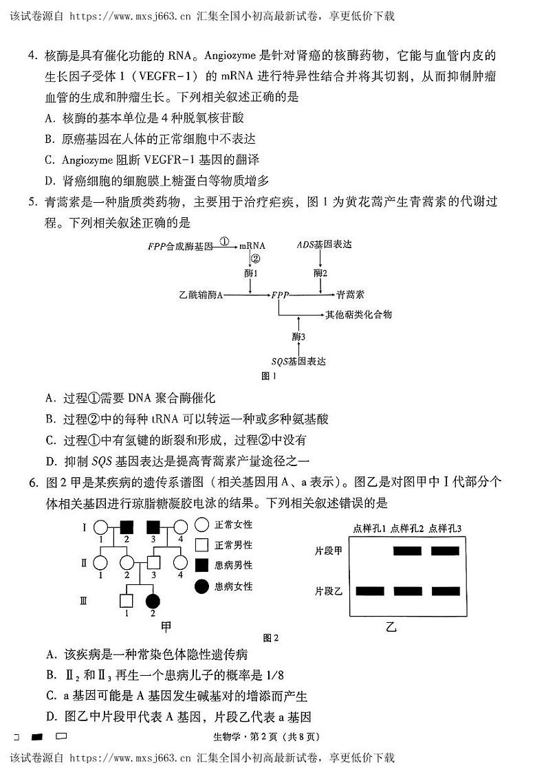 贵州省贵阳市南明区第一中学2024年高三二模考试生物试题02