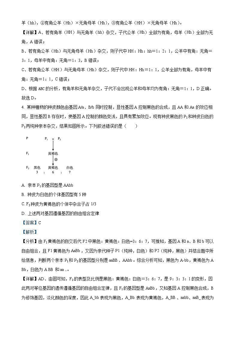 河南省濮阳市2023-2024学年高一下学期4月期中生物试题03