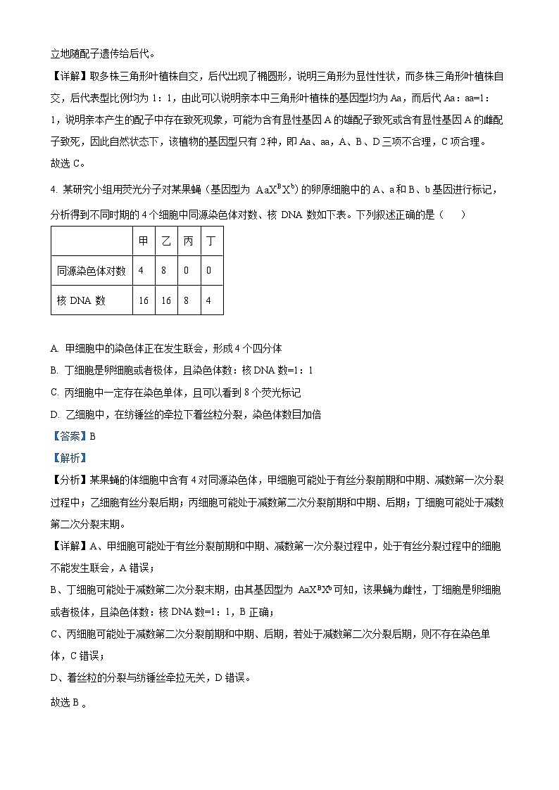 河南省天一期中考试2023-2024学年高一下学期4月期中生物试题第3页