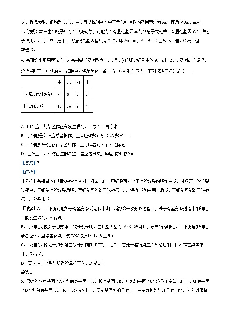 河南省新乡市牧野区多校联考2023-2024学年高一下学期4月期中生物试题03