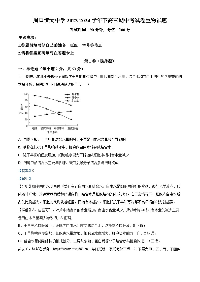 河南省周口市川汇区周口恒大中学2023-2024学年高三下学期4月期中生物试题01
