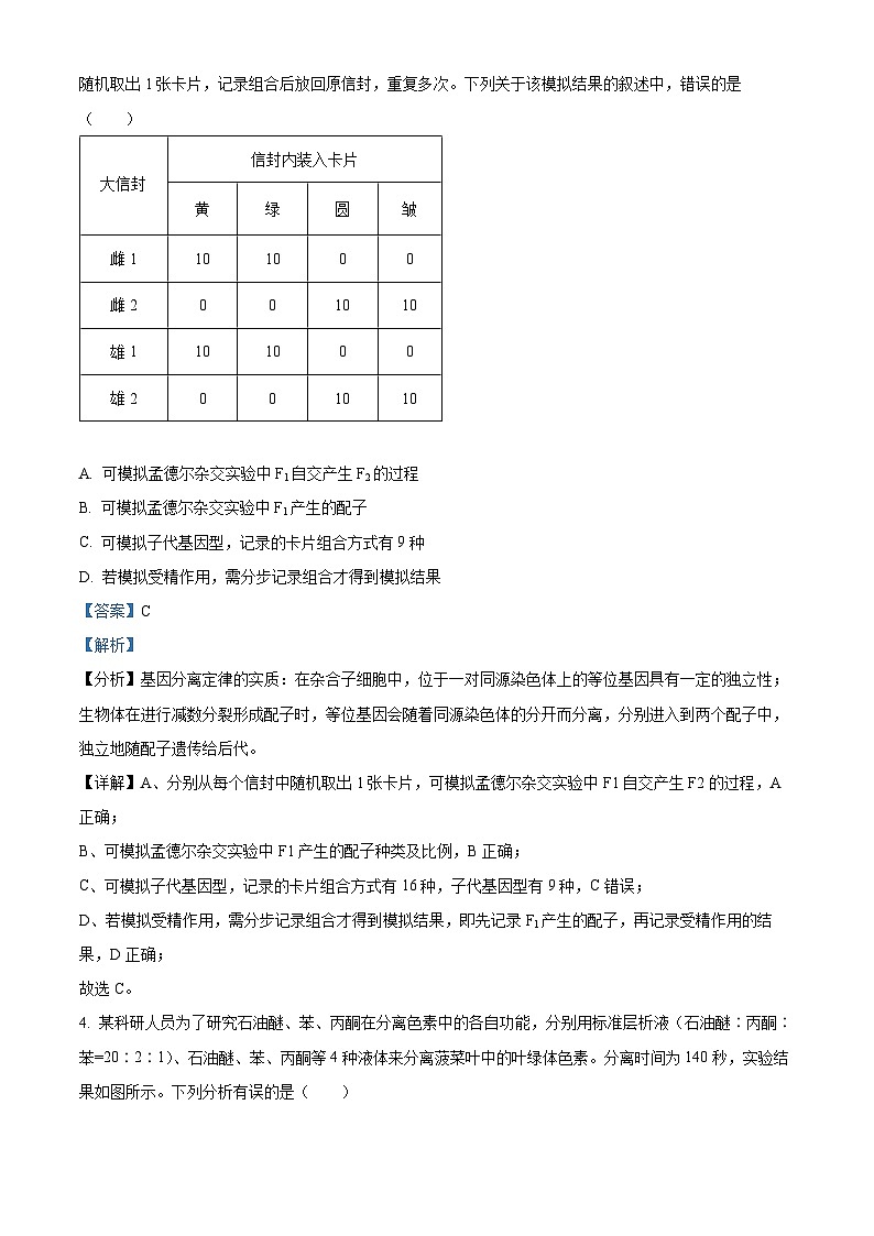 河南省周口市川汇区周口恒大中学2023-2024学年高三下学期4月期中生物试题03