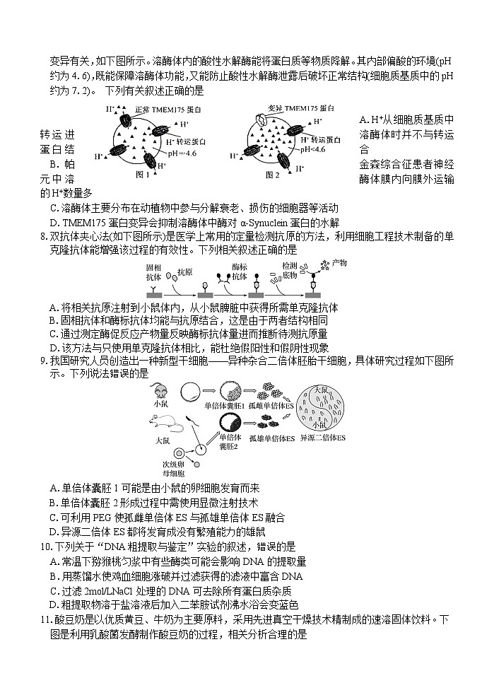 江苏省泰州市泰兴市2023-2024学年高二下学期期中考试生物试题02