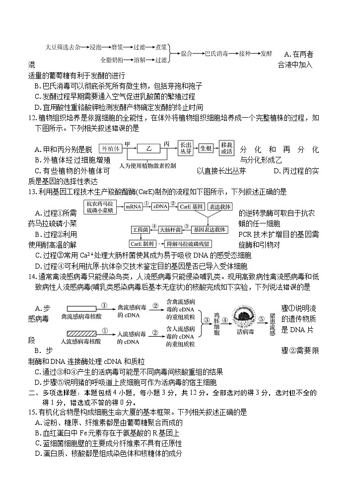 江苏省泰州市泰兴市2023-2024学年高二下学期期中考试生物试题03