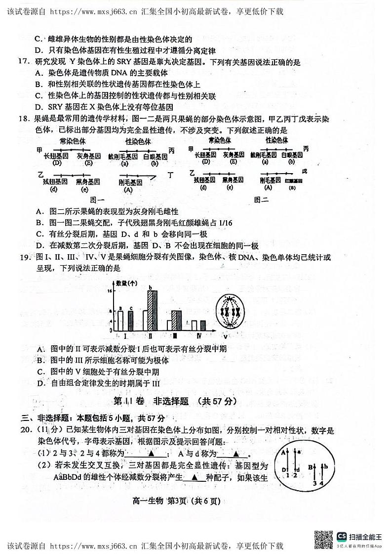 江苏省盐城市阜宁县2023-2024学年高一下学期4月期中生物试题03