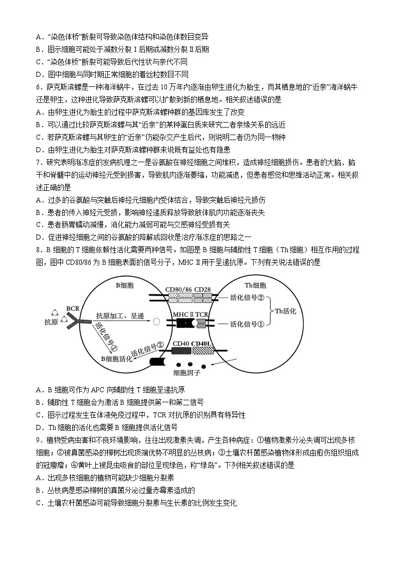 辽宁省沈阳市第二中学2023-2024学年高三下学期4月份阶段测试生物试卷03