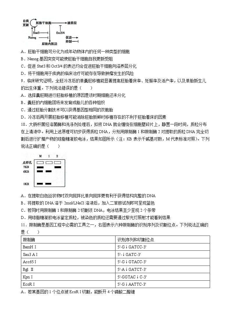 山东省泰安市2023-2024学年高二下学期4月期中生物试题03
