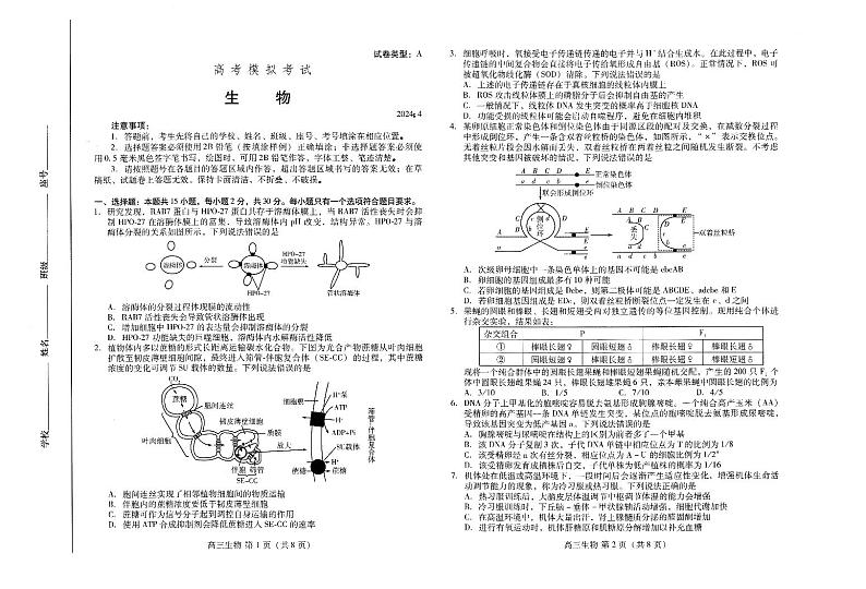 山东省潍坊市2023-2024学年高三下学期4月份高考模拟生物试卷第1页