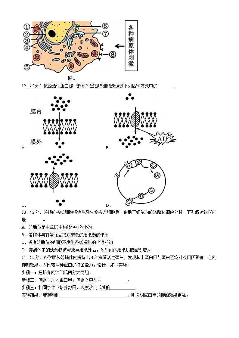 上海市青浦高级中学2023-2024学年高二下学期期中质量检测（合格考）生物试题03