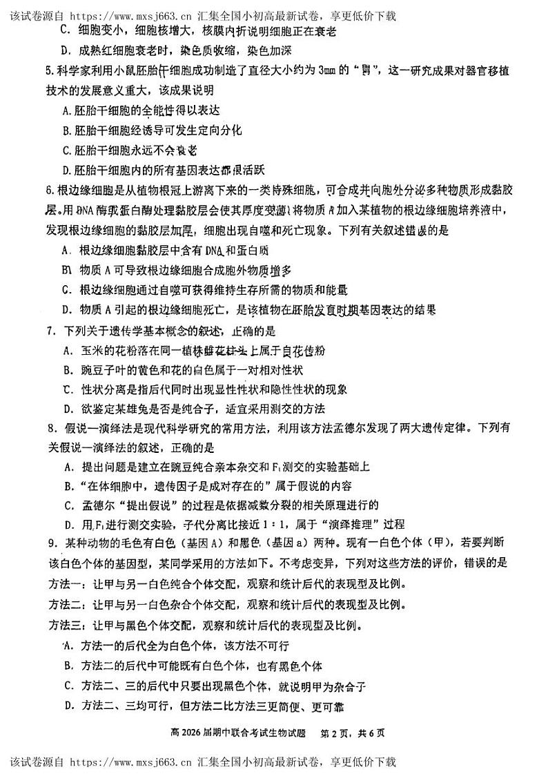 四川省泸州市泸县2023-2024学年高一下学期4月期中生物试题第2页