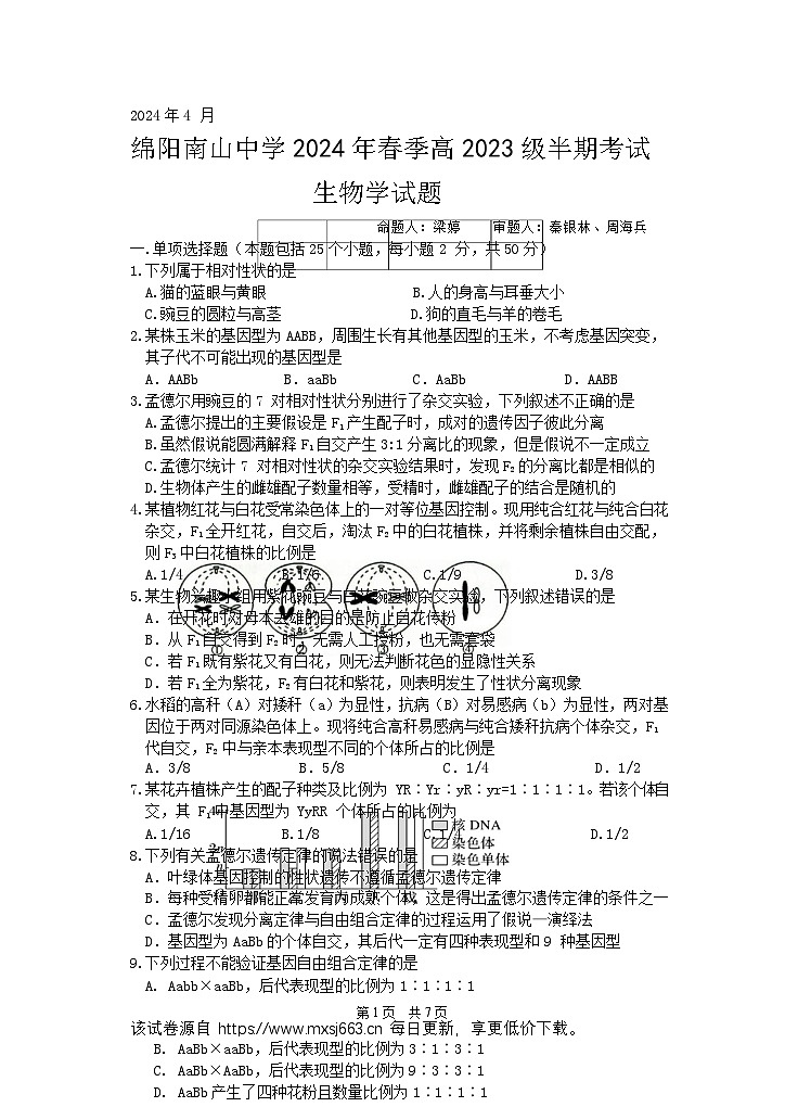 四川省绵阳南山中学2023-2024学年高一下学期期中考试 生物试题01