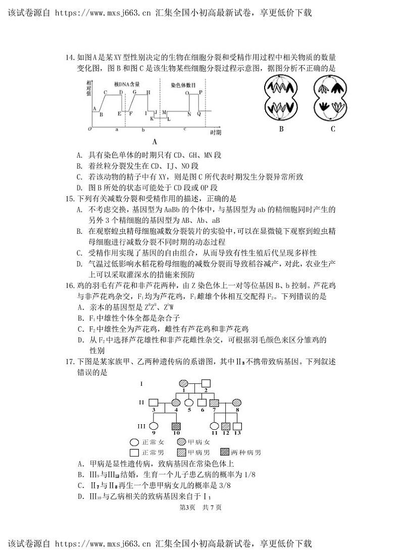 四川省绵阳南山中学2023-2024学年高一下学期期中考试生物试题03