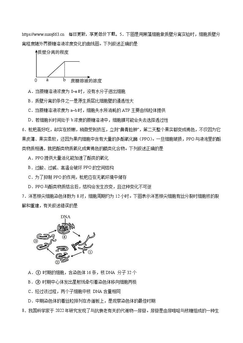 云南省昆明市八中2023-2024学年高二上学期月考一生物试卷02