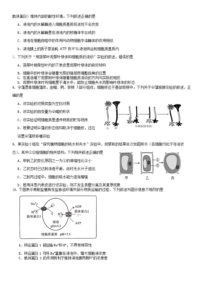 云南省昆明市第八中学2023-2024学年高一下学期期中考试生物试卷B卷02