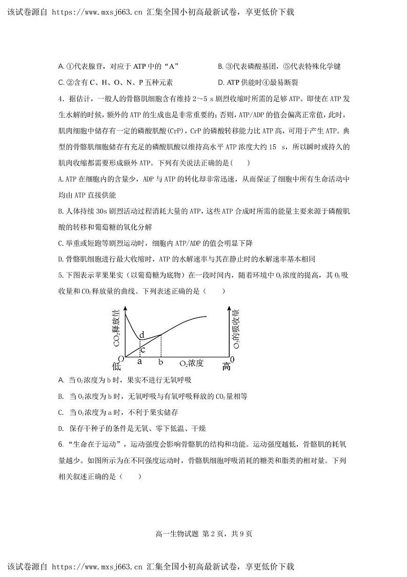 重庆市朝阳中学2023-2024学年高一下学期期中考试生物试题02