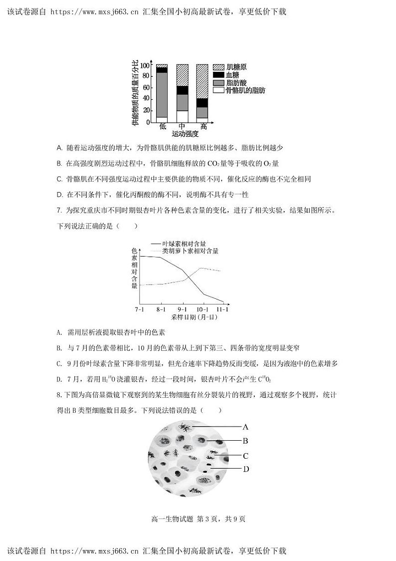 重庆市朝阳中学2023-2024学年高一下学期期中考试生物试题03