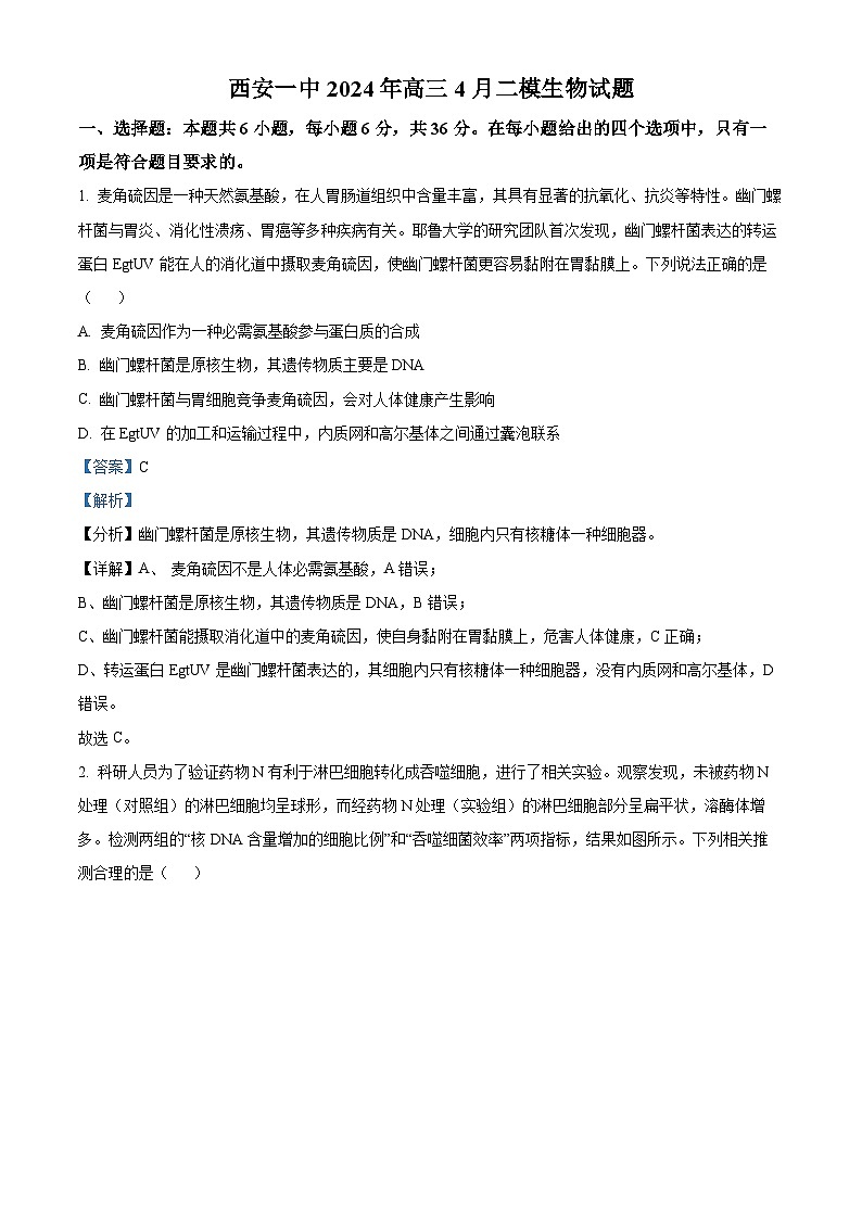 陕西省西安市莲湖区西安市第一中学2023-2024学年高三下学期4月二模生物试题　（原卷版+解析版）01