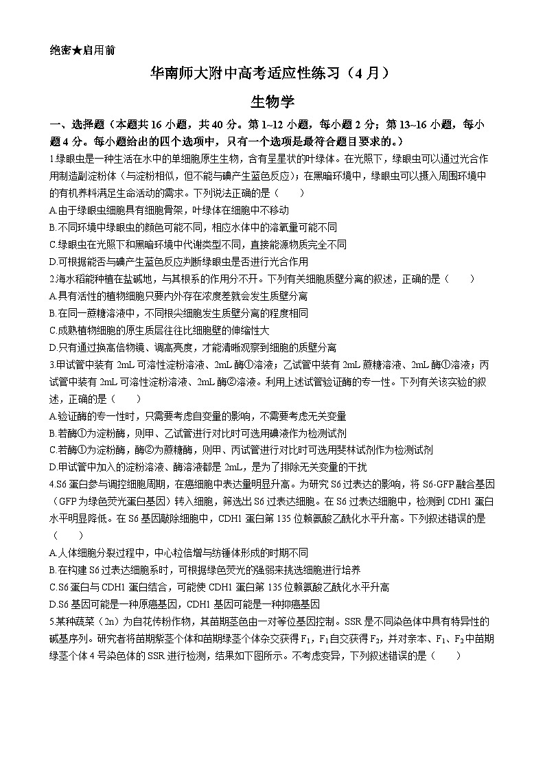2024广东省华南师大附中高三下学期4月高考适应性练习生物含解析第1页