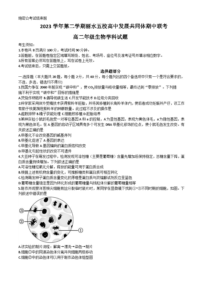 2024丽水发展共同体高二下学期5月期中联考试题生物含答案第1页