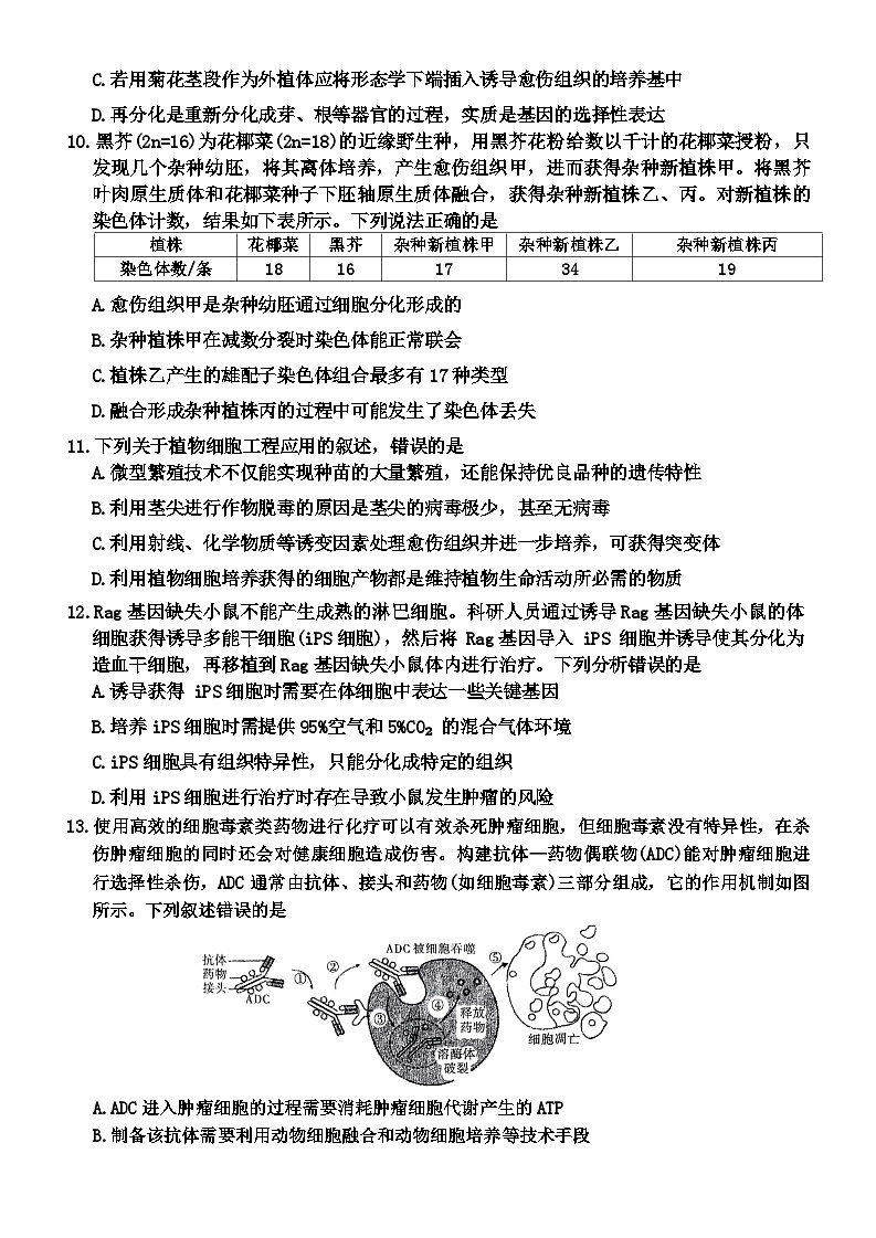 2024合肥百花中学等四校联考高二下学期5月期中考试生物含答案03