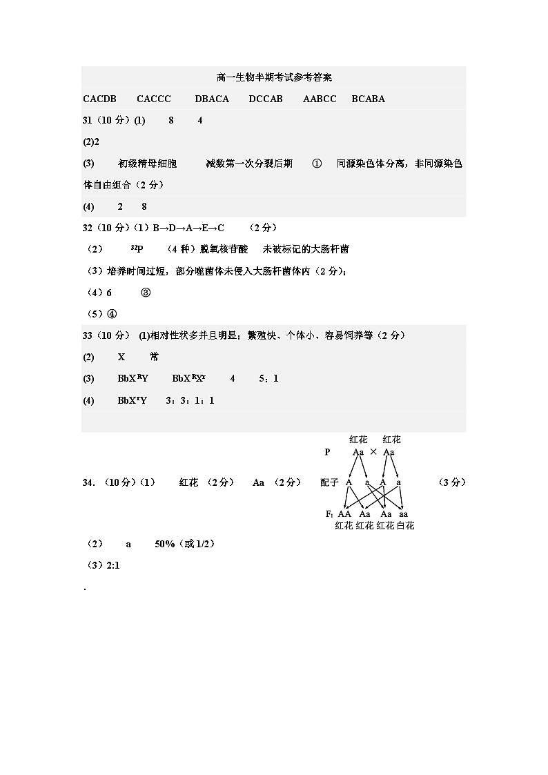 四川省成都外国语学校2023-2024学年高一下学期期中考试生物试题+01