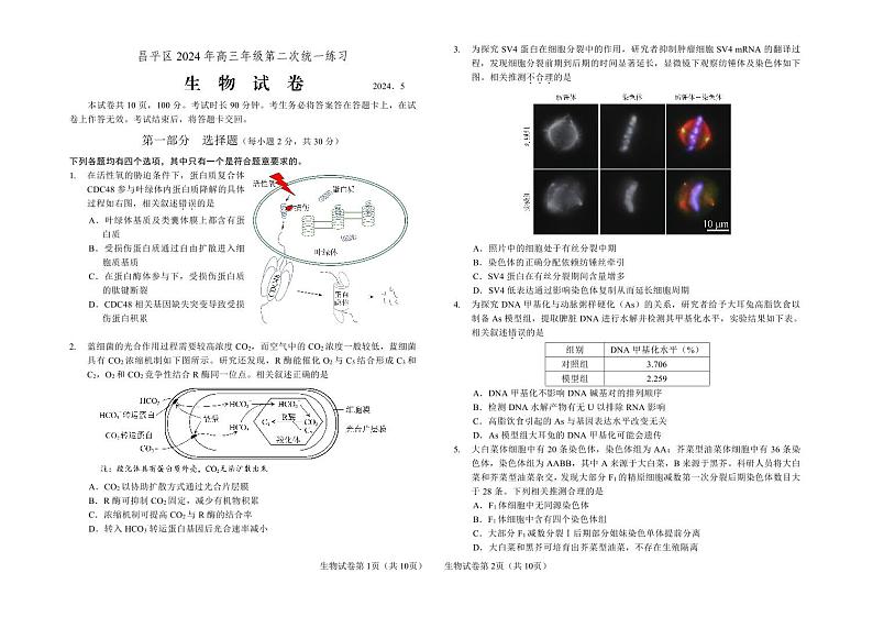 2024届北京市昌平区高三下学期二模生物试卷第1页