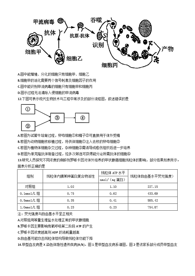 2024届福建省漳州市高三下学期第四次教学质量检测生物试卷第3页
