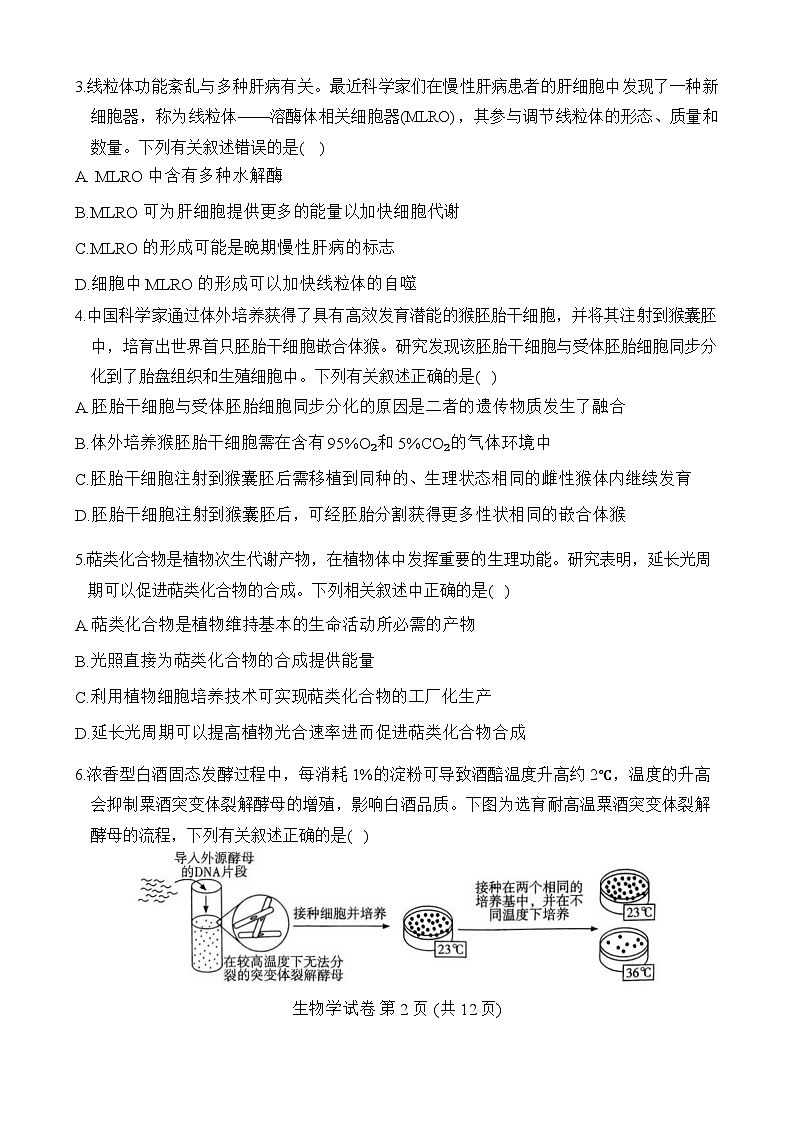 2024届东北三省四市教研联合体高三模拟（二）生物试题第2页