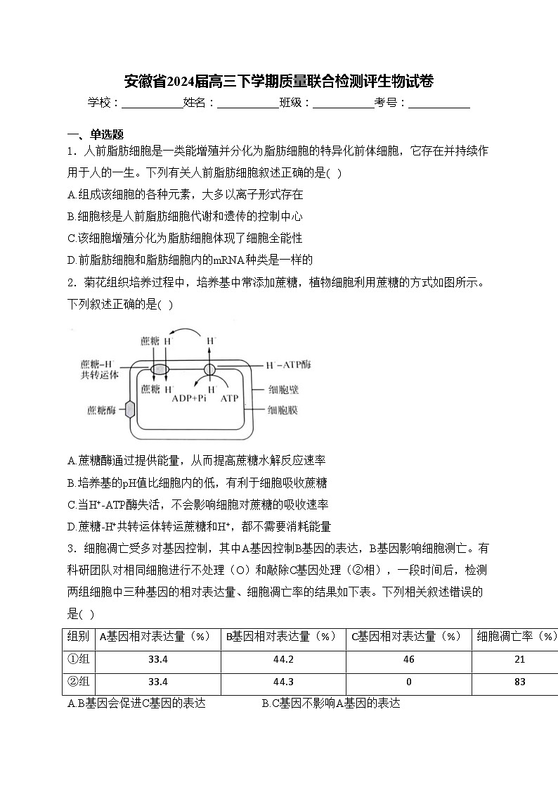 安徽省2024届高三下学期质量联合检测评生物试卷(含答案)01