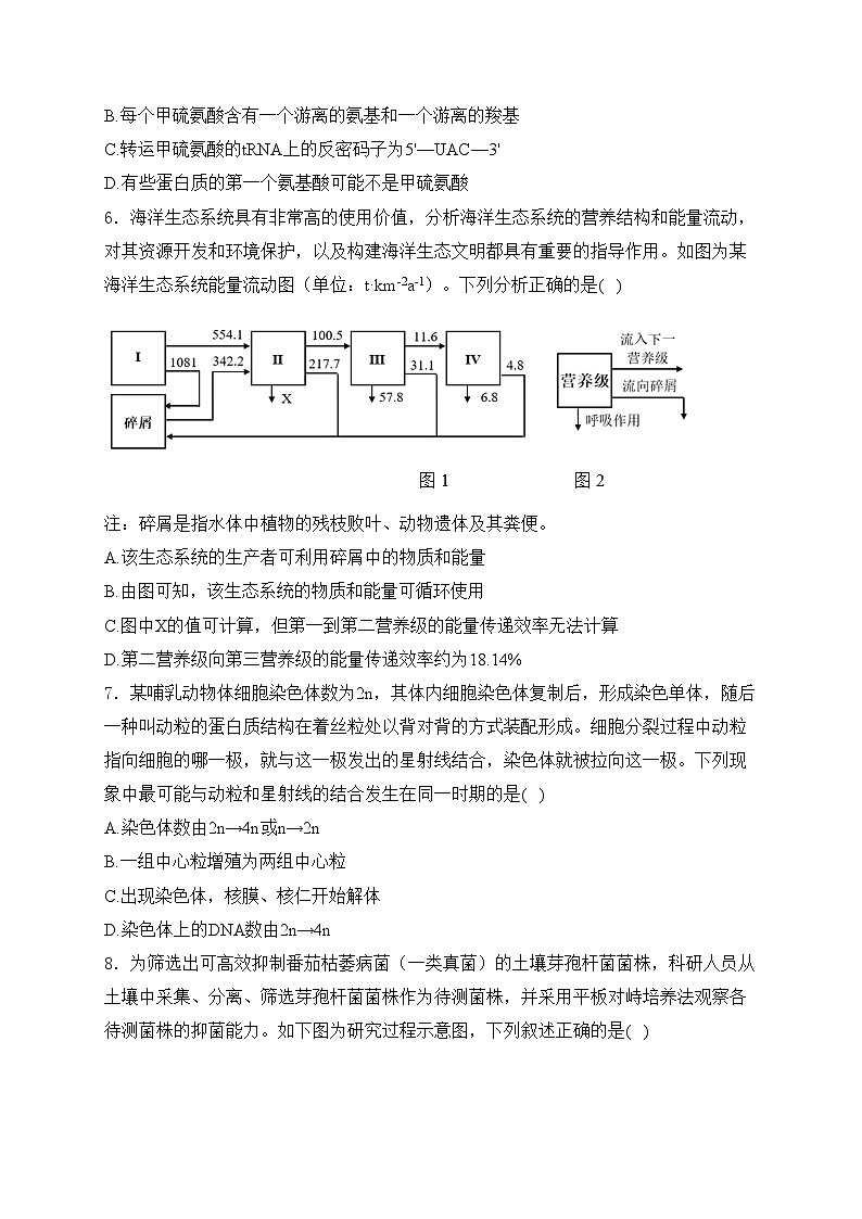 天津市河东区2024届高三下学期高中学业水平等级性考试第二次模拟考试生物试卷(含答案)02