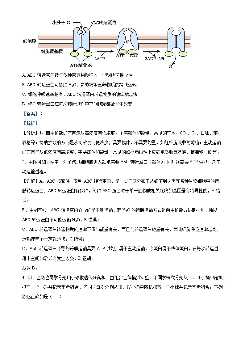 安徽省桐城中学2023-2024学年高一下学期4月期中考试生物试卷（Word版附解析）03