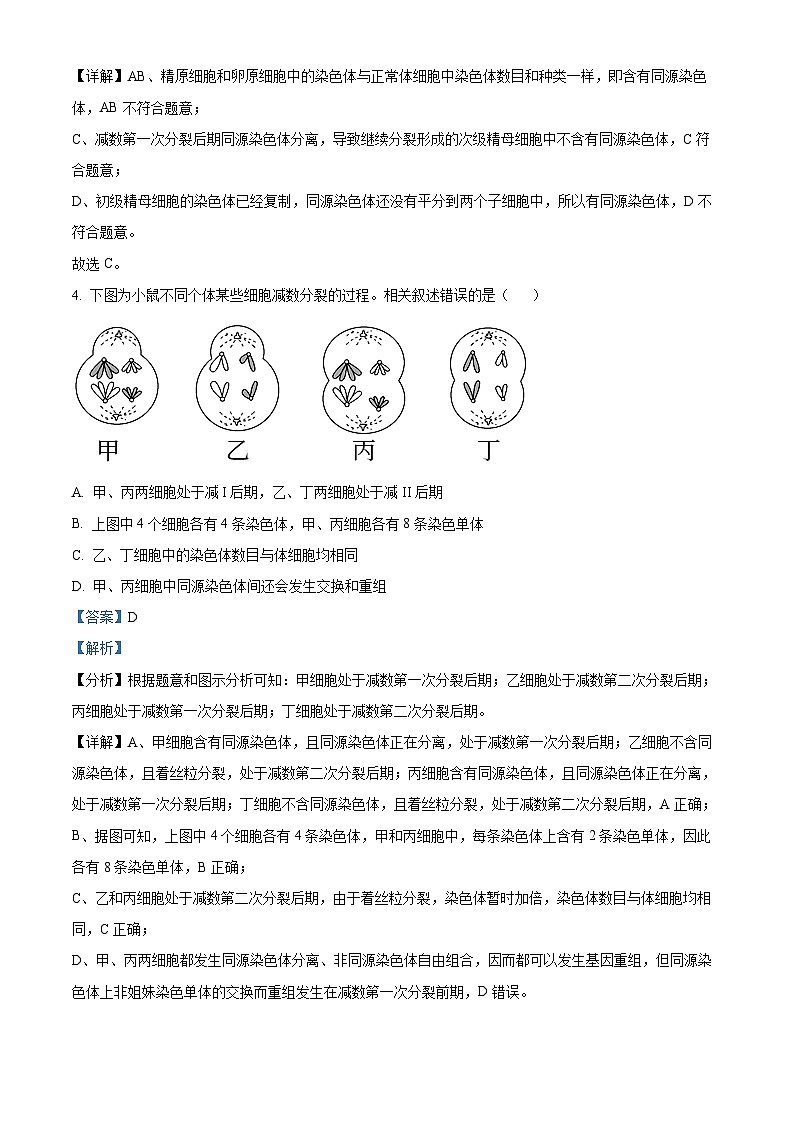 安徽省芜湖市师范大学附属中学2023-2024学年高一下学期4月期中生物试卷（Word版附解析）03